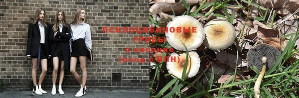 apvp Лиски