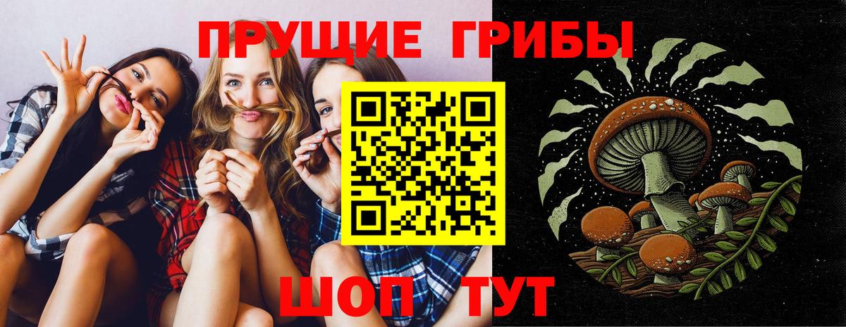 Галлюциногенные грибы Psilocybe Зеленогорск