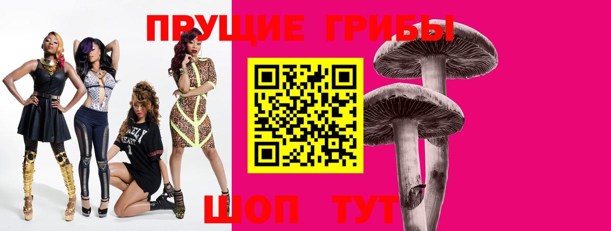 магазин  наркотиков  Зеленогорск  Псилоцибиновые грибы Cubensis 